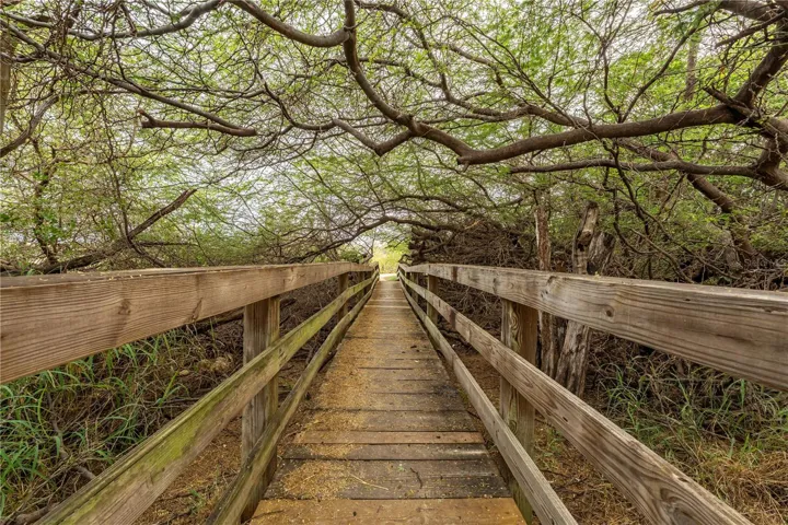 Reset and Walk to the trails