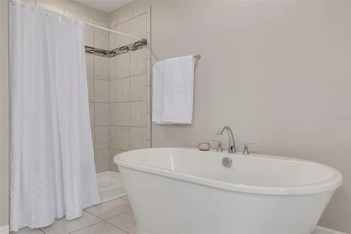 Primary Shower and Tub