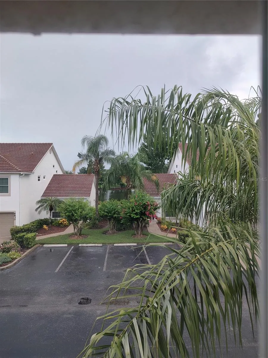 Pond view from front window