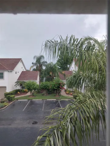Pond view from front window