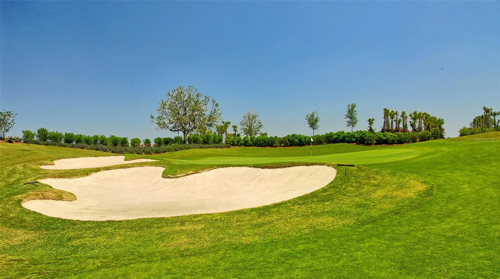 EXCLUSIVE GOLF & SOCIAL MEMBERSHIPS AVAILABLE