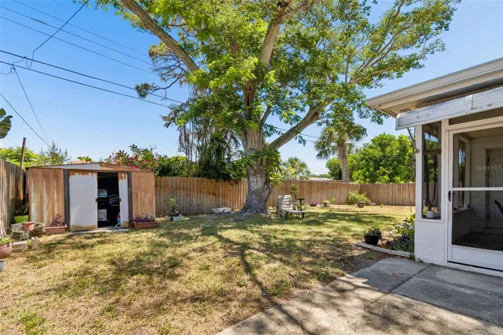 Backyard