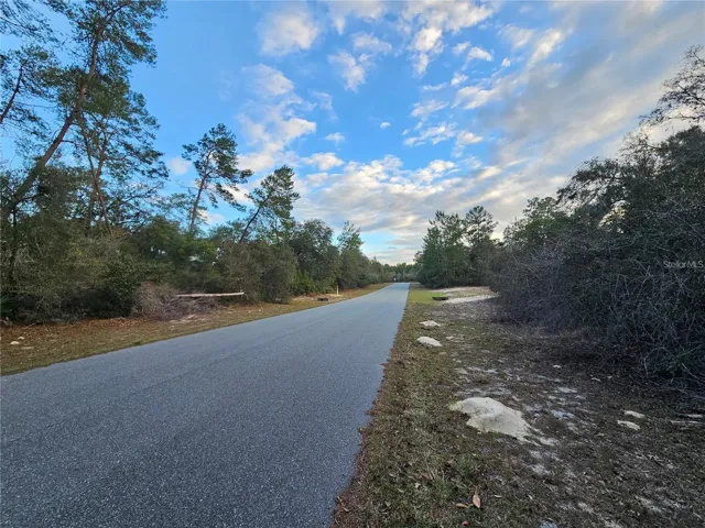 Right Street View