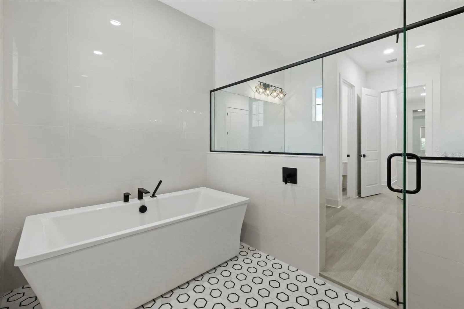 Primary Spa Tub & Shower Area