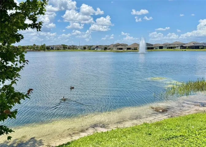 Tapestry nature and scenic lake views
