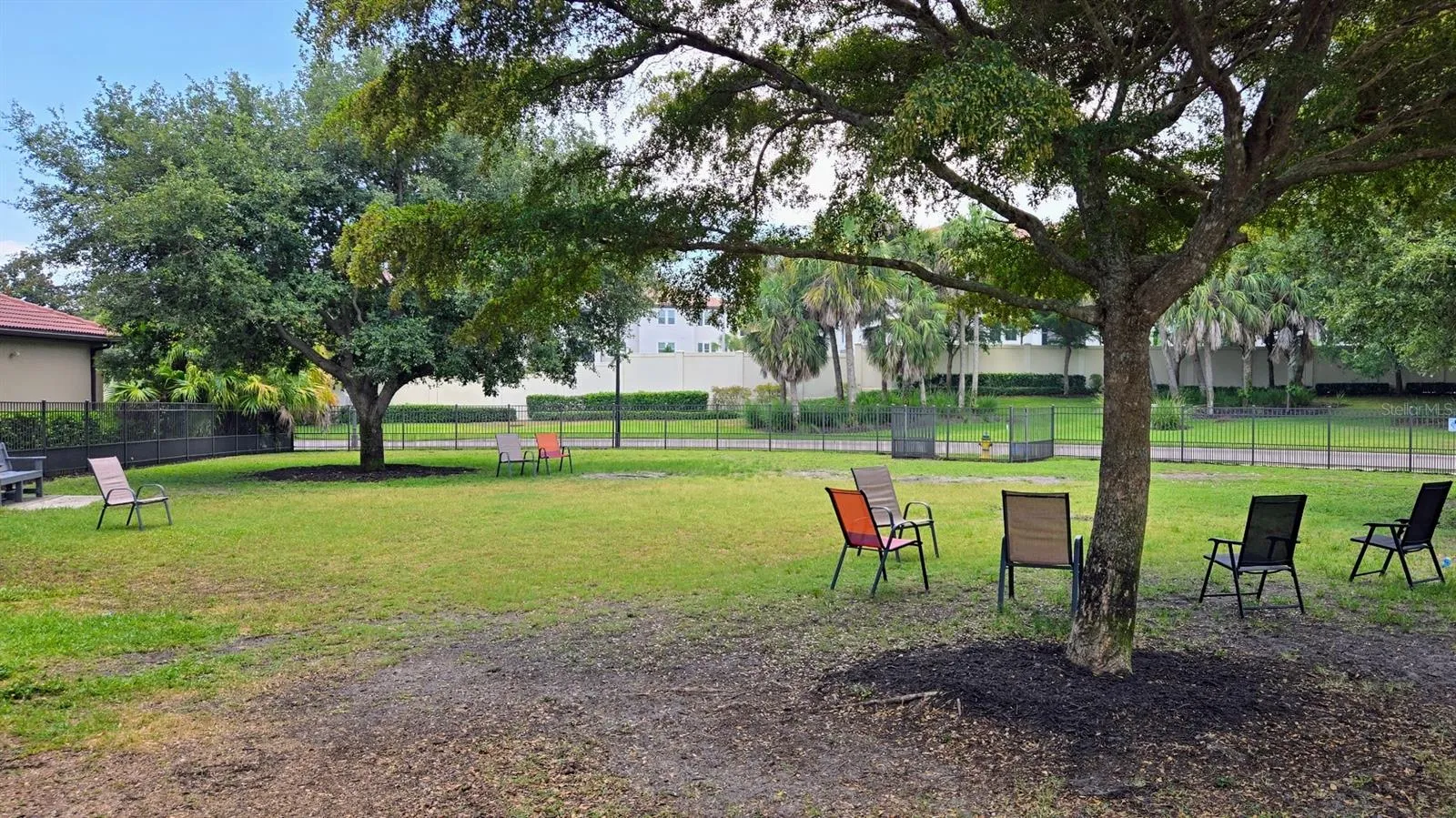 Dog Park