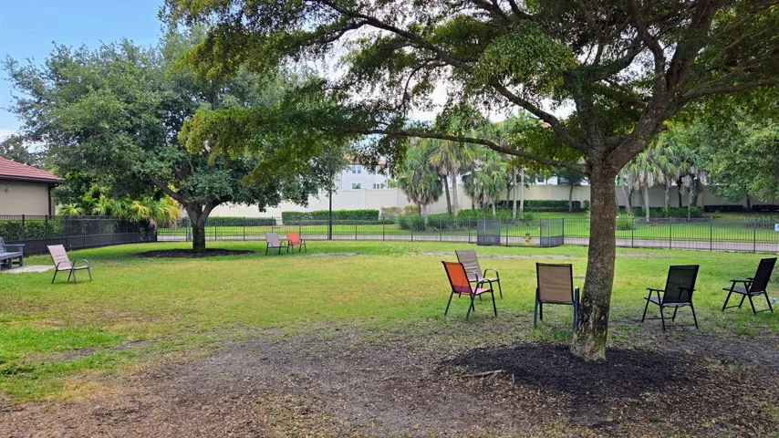 Dog Park