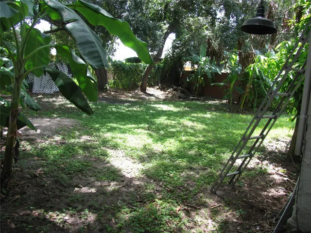 View of backyard