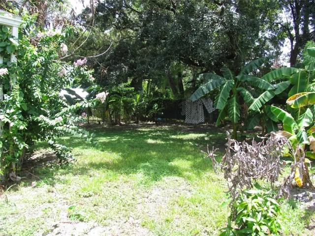 2nd view of backyard