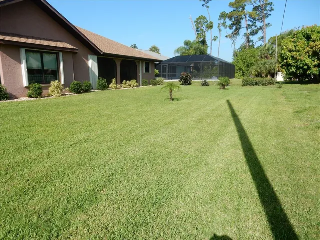 Big Backyard