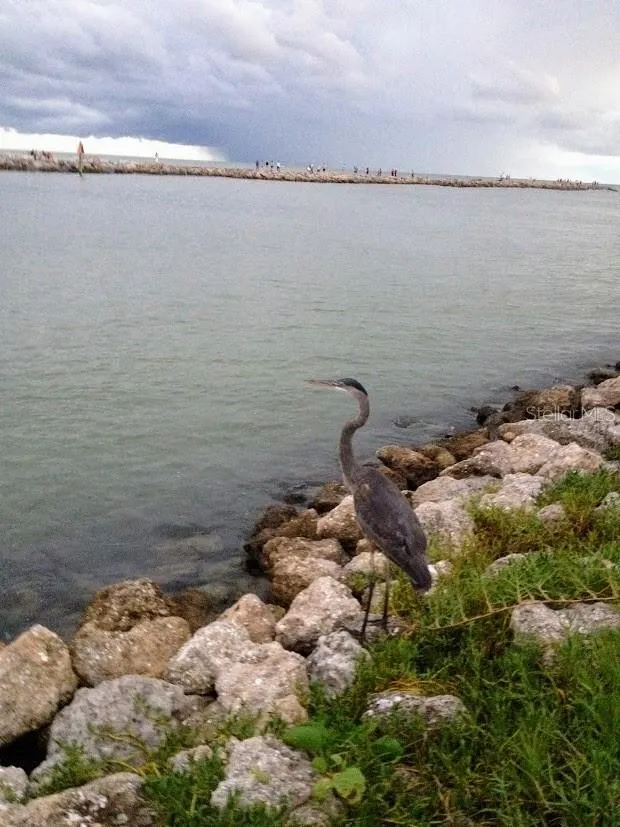 Gulf Harbor Marina is minutes to the Venice Inlet giving you convenient access to the Gulf Of Mexico