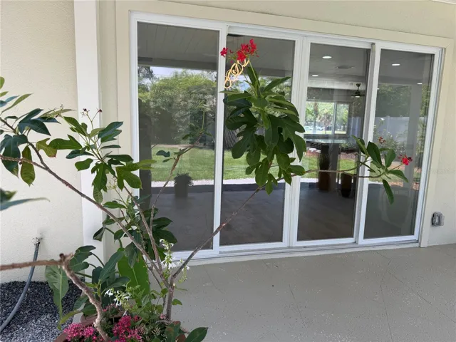 Back patio