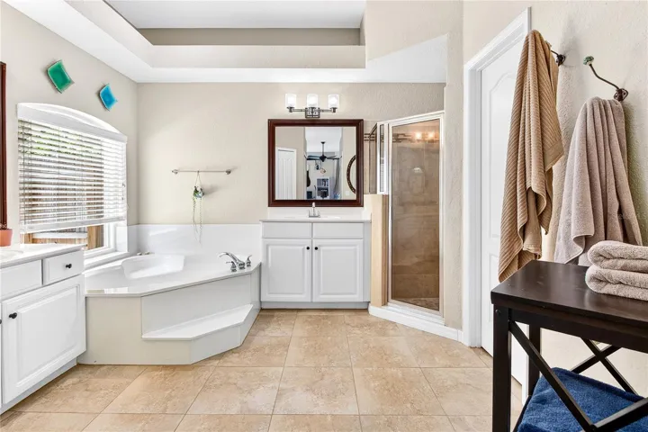 primary tub & primary Walk in shower