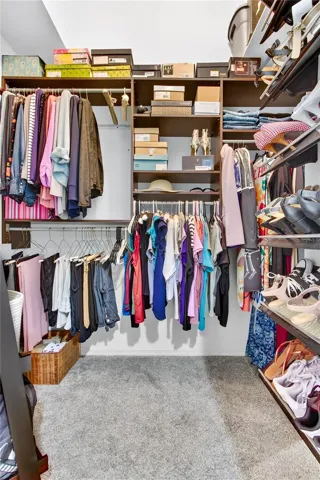 MARTHA STEWART LIVING ORGANIZERS