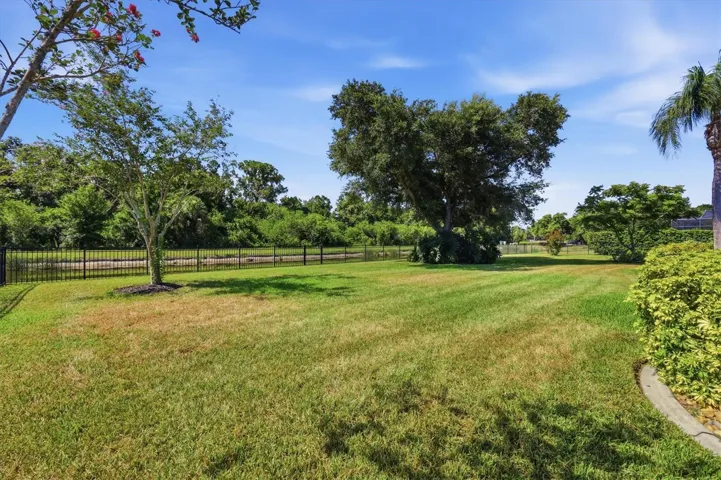 Rear Yard