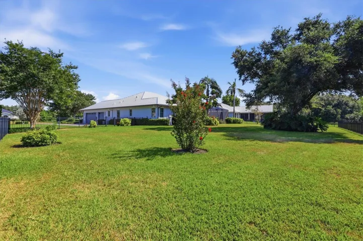 Back/Side Yard