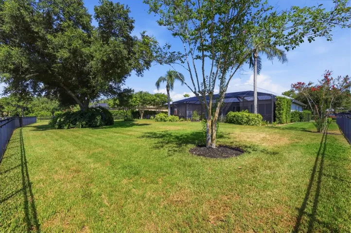 Rear Yard