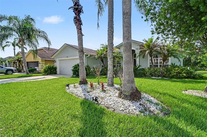 Front yard