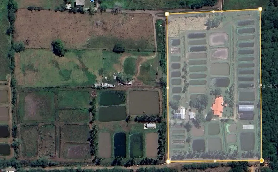 Aerial Views : Two Lands (7.81 Acres ) Plus ( 6.43 Acres )