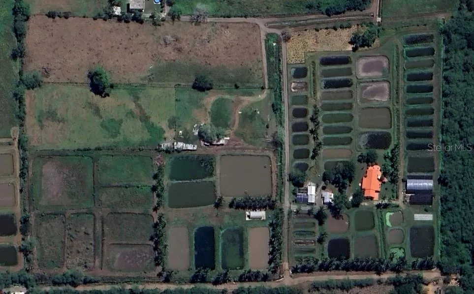 Aerial View : Two Lands (7.81 Acres ) Plus ( 6.43 Acres )