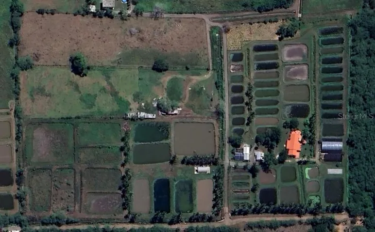 Aerial View : Two Lands (7.81 Acres ) Plus ( 6.43 Acres )