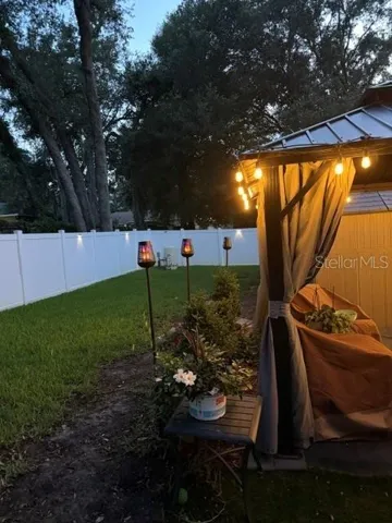 Back yard