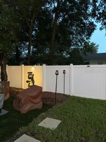Back yard