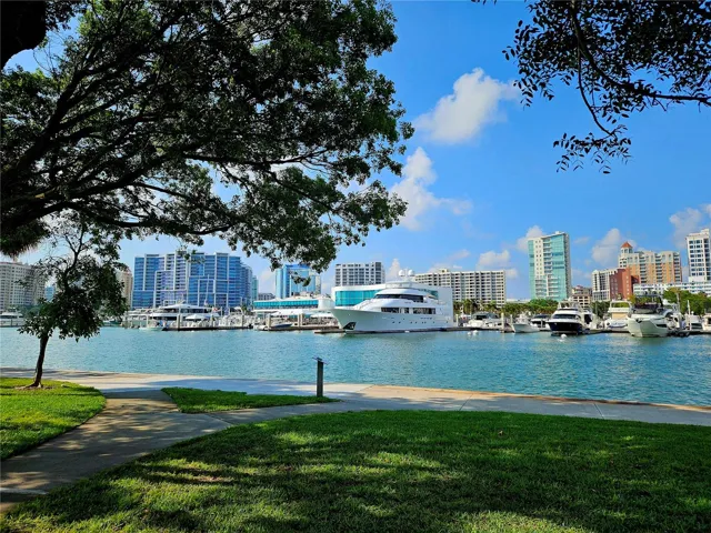 Bayfront Park in downtown Sarasota. Twice-weekly free yoga in the park.