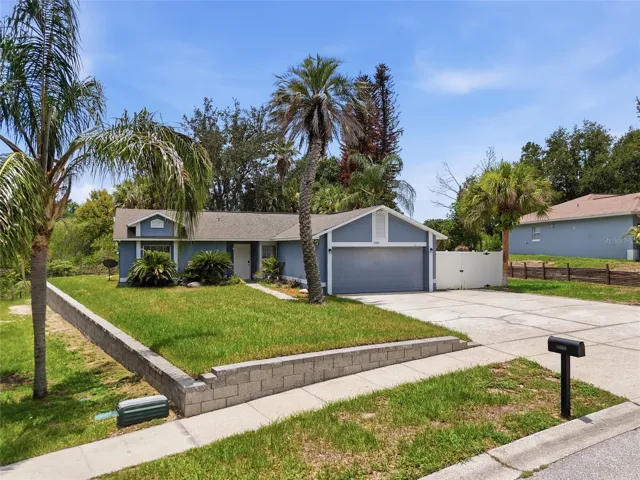 Front Yard