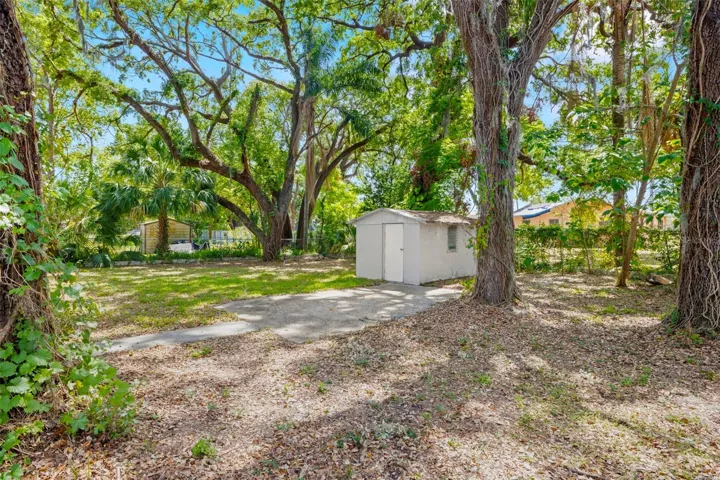 Shed in Backyard