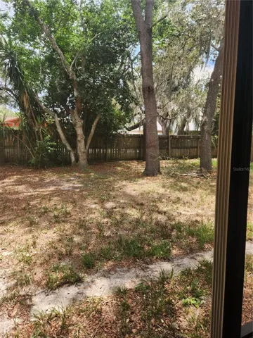 Backyard view 2