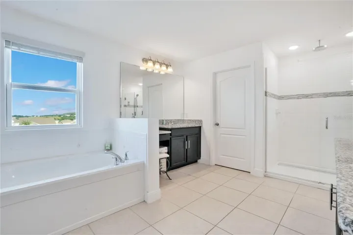 Primary Bathroom - Vanity Sink - Shower
