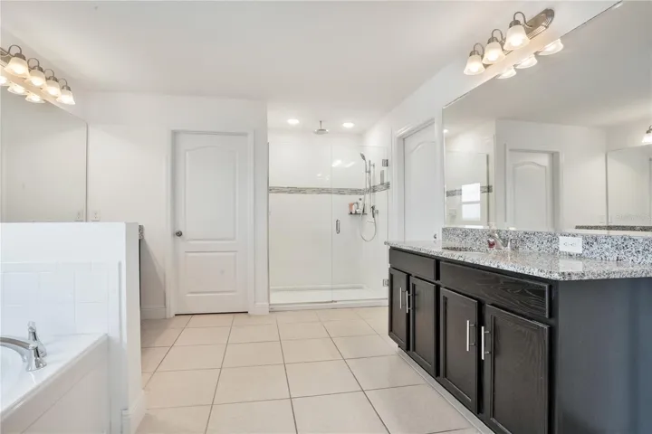 Primary Bathroom - Tub Shower View