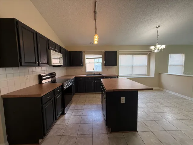 Kitchen and Breakfast Area