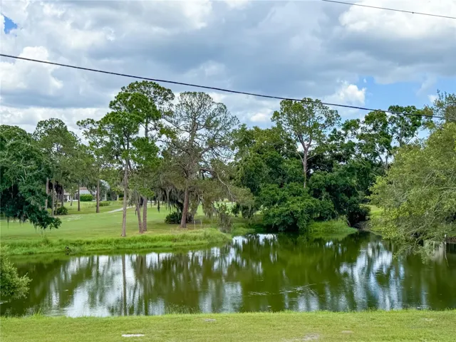Water/Golf View