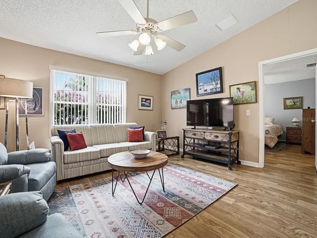 Bright Living Room