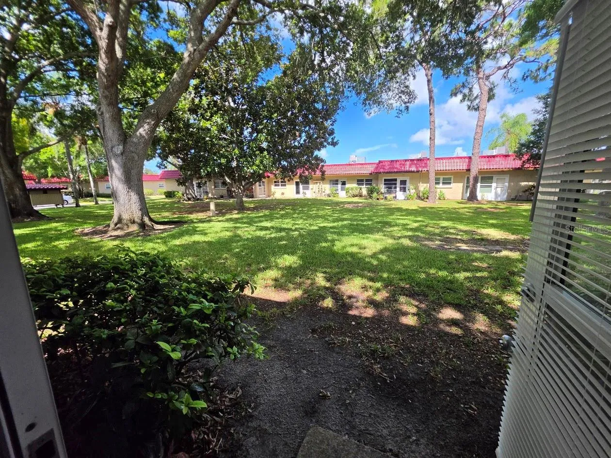Back Courtyard