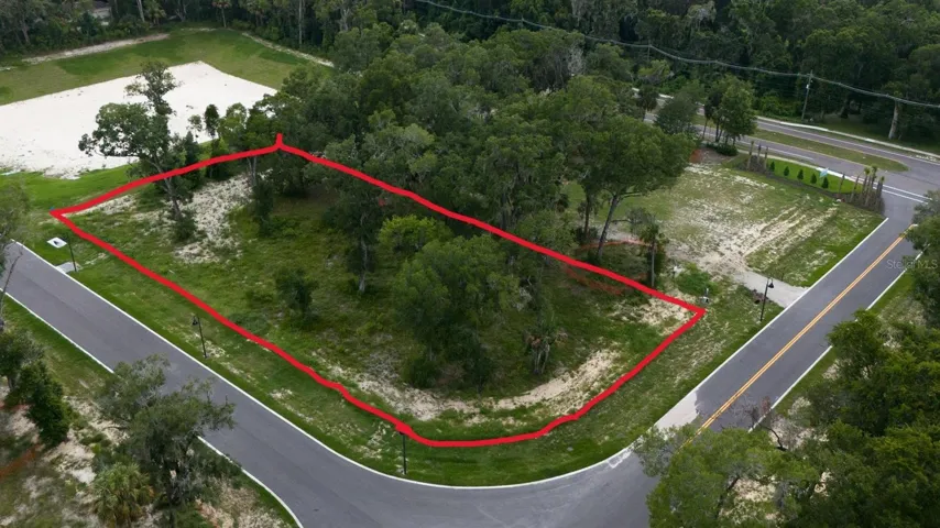 Lot 21