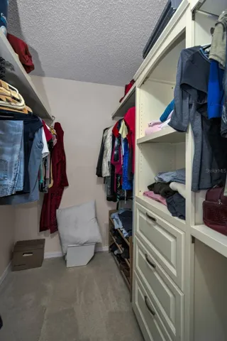 Walk-in closet with selves
