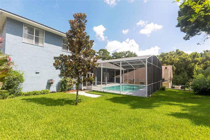 Spacious back yard