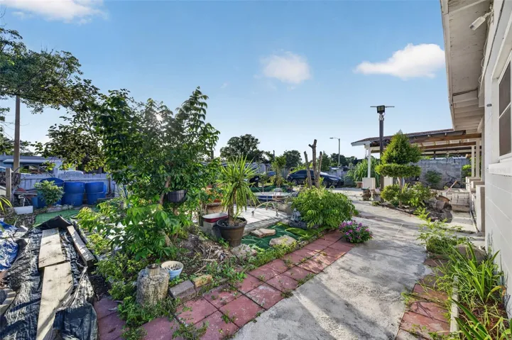 Fruit trees.