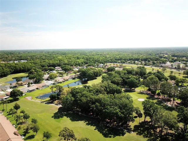 Golf Course Drone