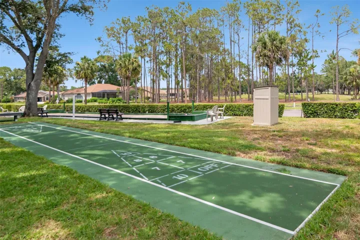 Shuffleboard Area