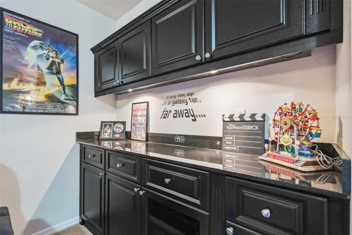 Refreshment Center in Media Room