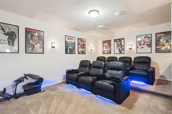 Custom Media Room!