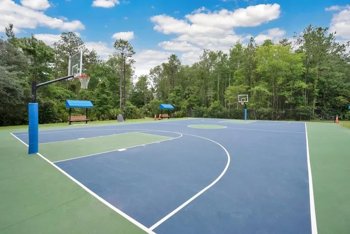 Basketball court