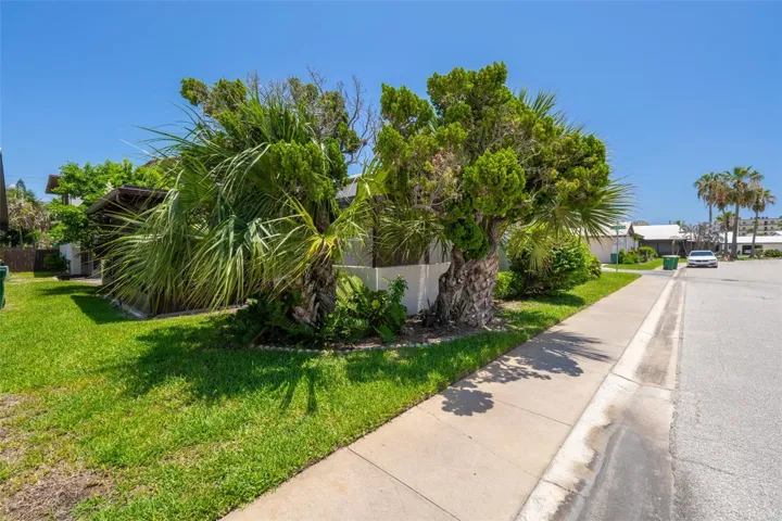 Tropical Landscaping