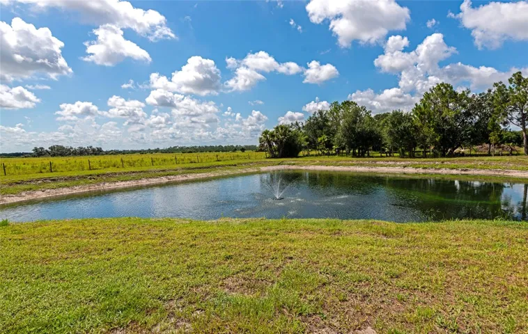 Pond with fountain