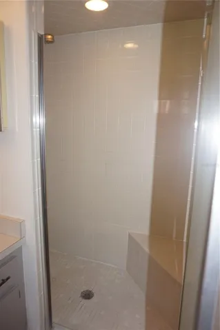Step in shower in master bath