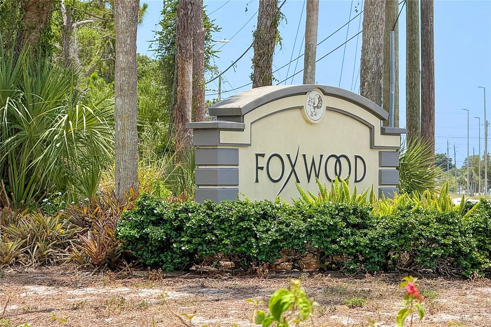 Welcome to Foxwood!